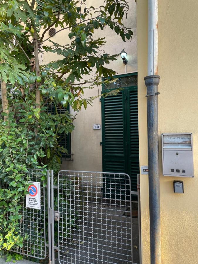 Vila Giuseppe Giovannetti 40 Lucca Exteriér fotografie